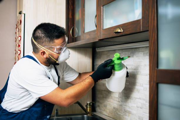 Best Pest Removal Services  in Belleville, WI